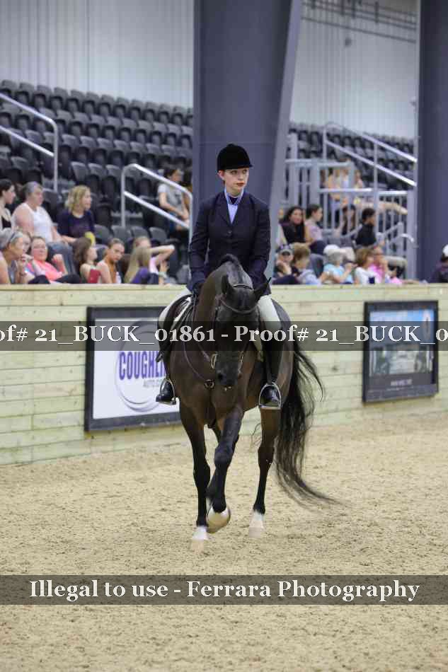 Proof 21_BUCK_01861