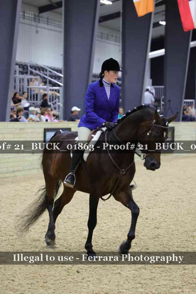 Proof 21_BUCK_01863
