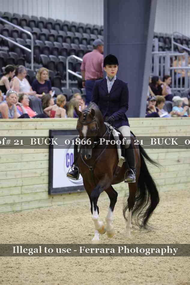 Proof 21_BUCK_01866