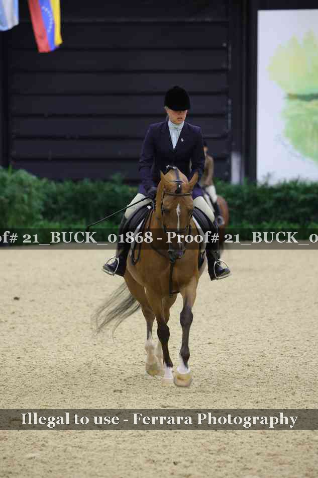 Proof 21_BUCK_01868