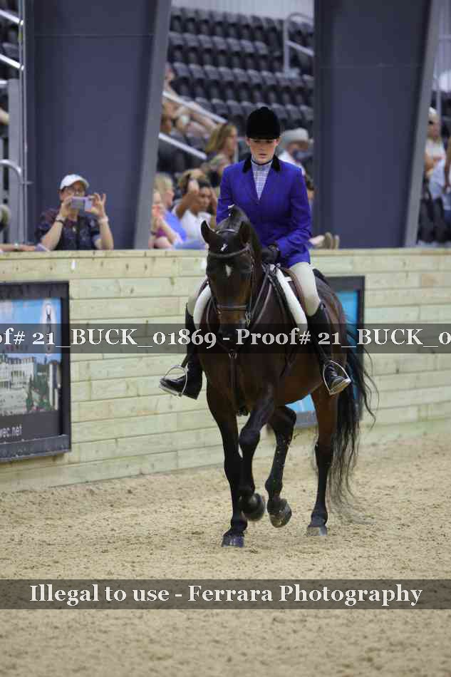 Proof 21_BUCK_01869