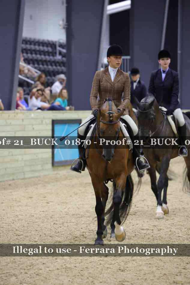 Proof 21_BUCK_01870