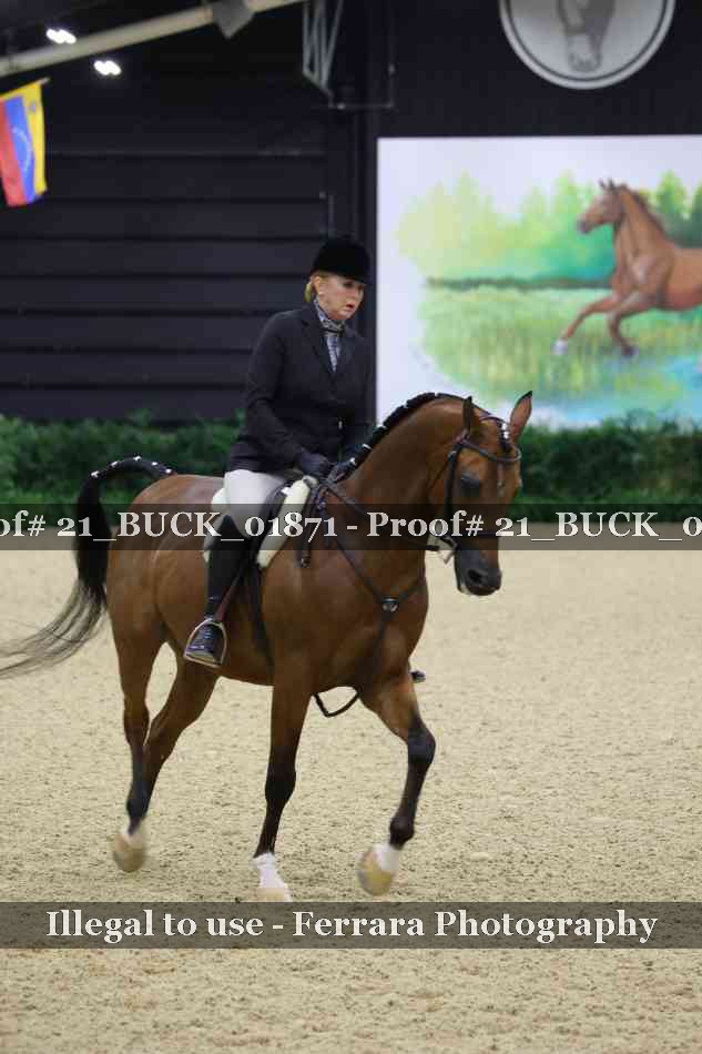 Proof 21_BUCK_01871