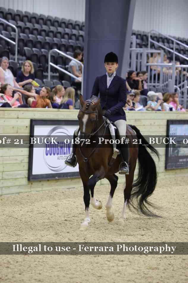 Proof 21_BUCK_01872