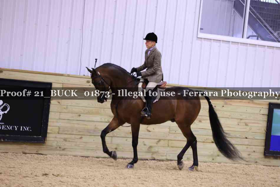 Proof 21_BUCK_01873