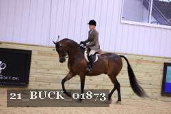 21_BUCK_01873 proof