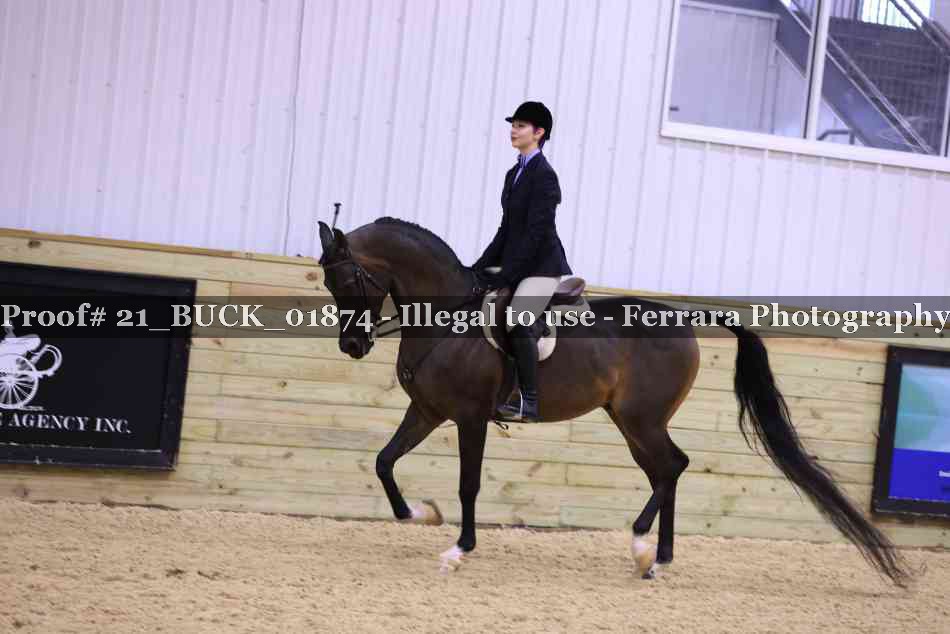 Proof 21_BUCK_01874