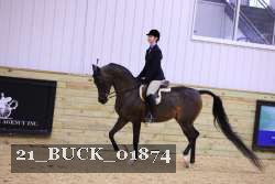 21_BUCK_01874 proof