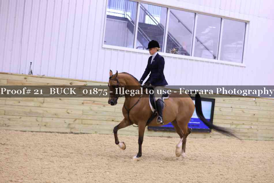 Proof 21_BUCK_01875