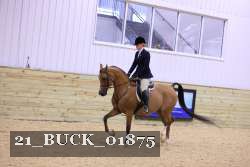 21_BUCK_01875 proof
