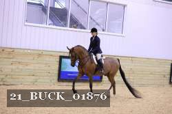 21_BUCK_01876 proof