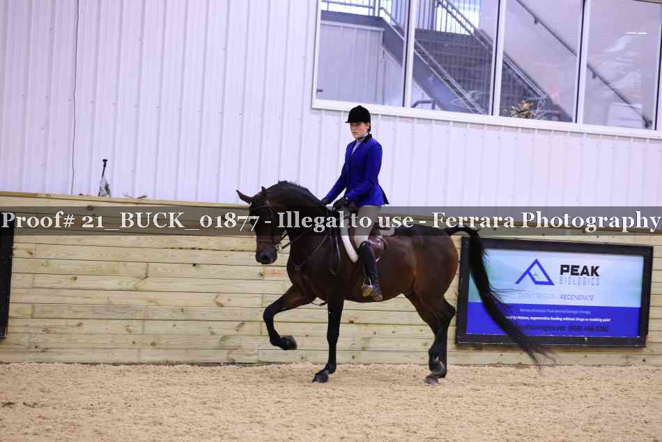 Proof 21_BUCK_01877