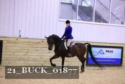 21_BUCK_01877 proof