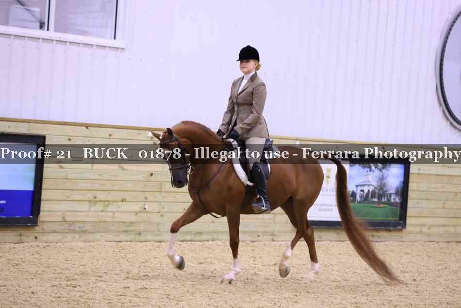 Proof 21_BUCK_01878