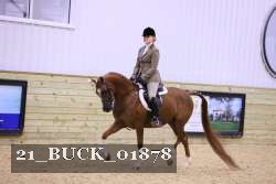 21_BUCK_01878 proof