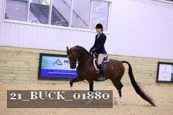 21_BUCK_01880 proof