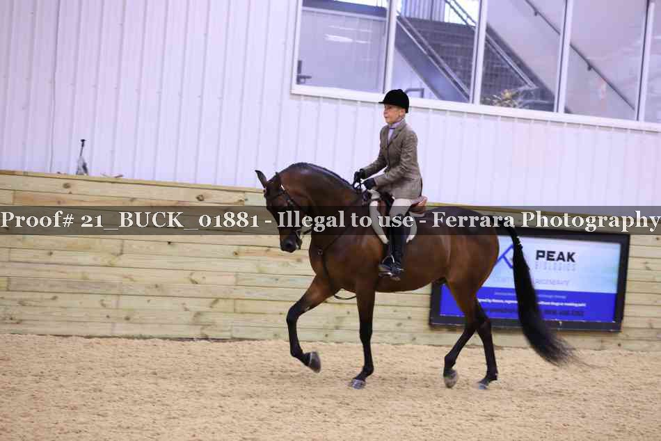 Proof 21_BUCK_01881
