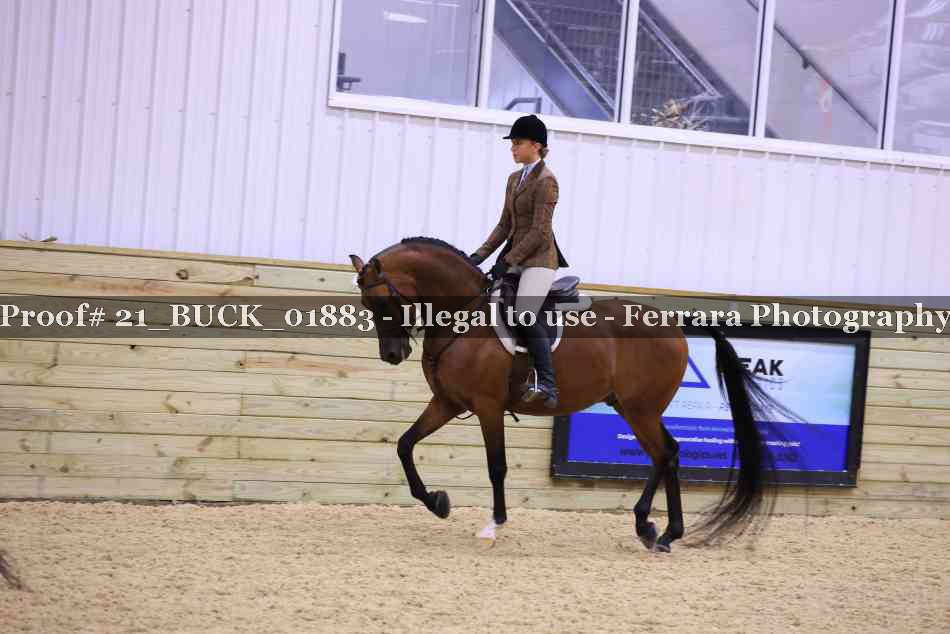 Proof 21_BUCK_01883