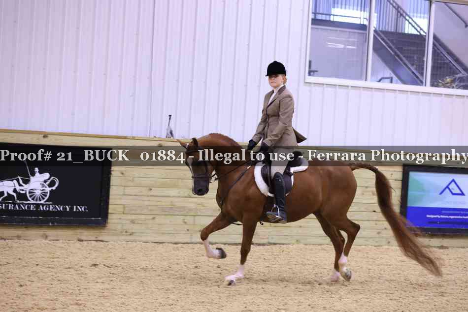 Proof 21_BUCK_01884