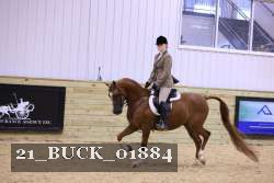 21_BUCK_01884 proof