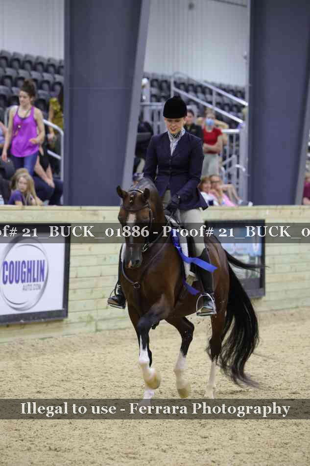 Proof 21_BUCK_01886