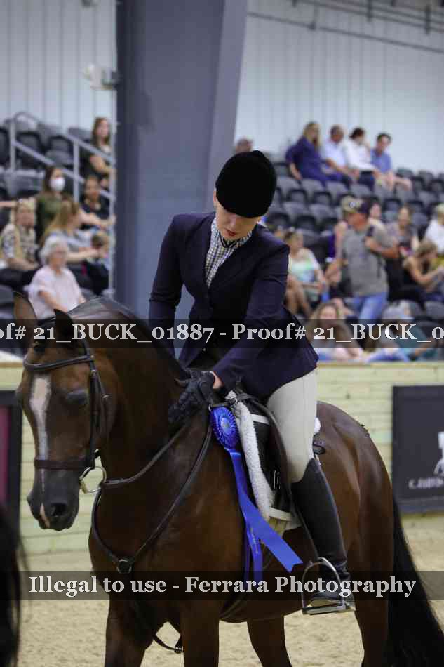 Proof 21_BUCK_01887