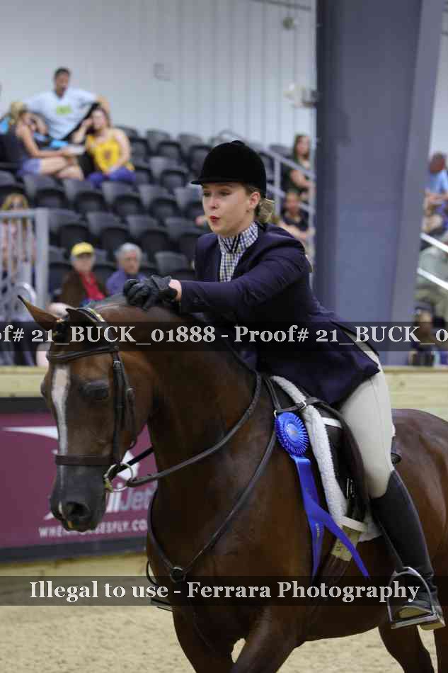 Proof 21_BUCK_01888