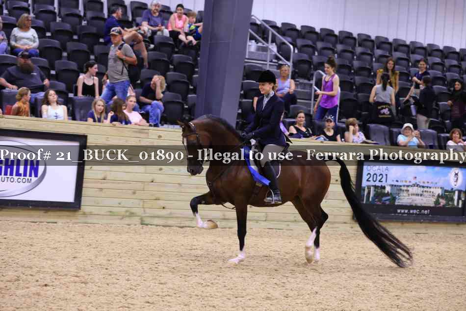 Proof 21_BUCK_01890