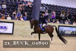 21_BUCK_01890 proof