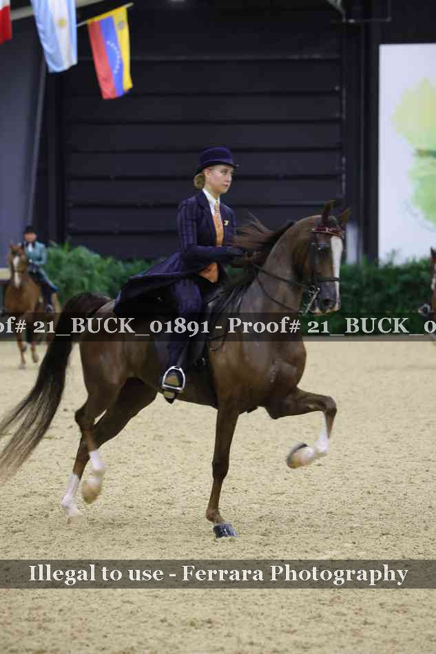 Proof 21_BUCK_01891