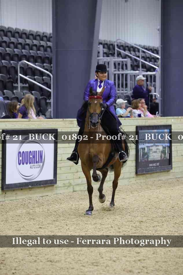 Proof 21_BUCK_01892