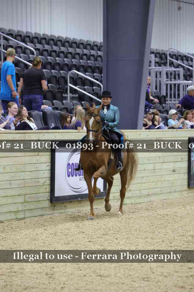 Proof 21_BUCK_01893