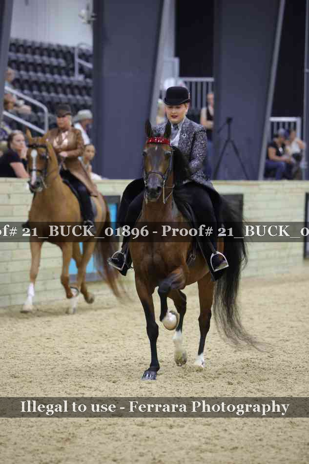 Proof 21_BUCK_01896