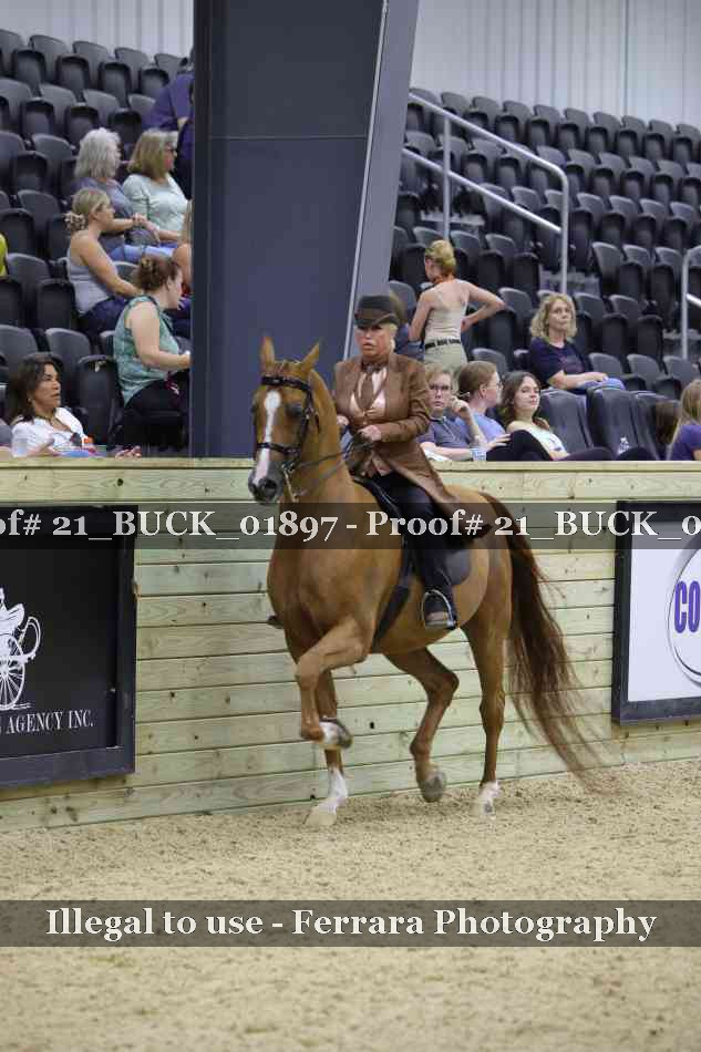 Proof 21_BUCK_01897