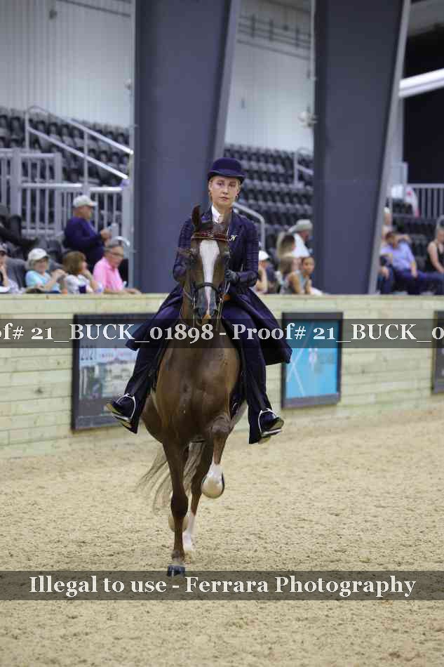 Proof 21_BUCK_01898
