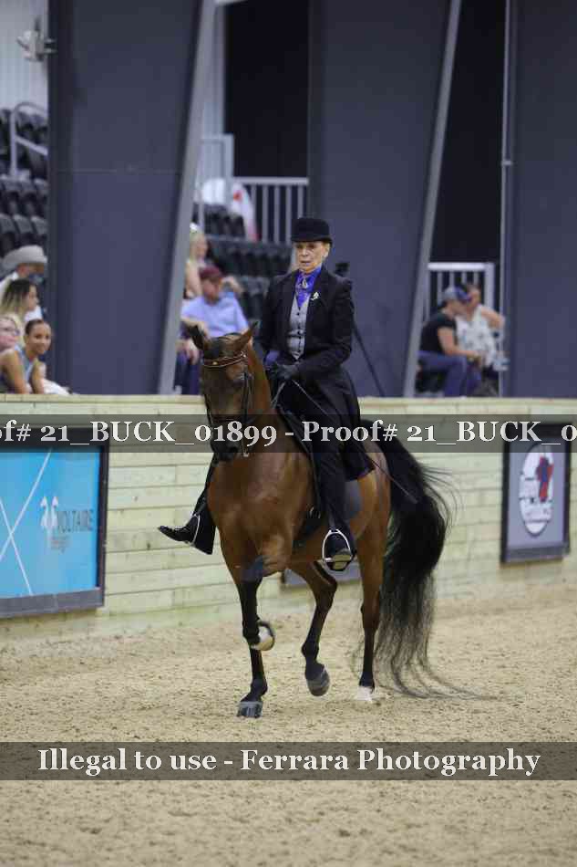 Proof 21_BUCK_01899