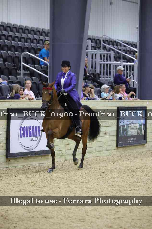 Proof 21_BUCK_01900