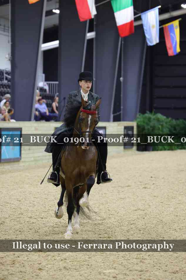 Proof 21_BUCK_01901