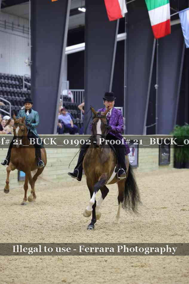 Proof 21_BUCK_01902