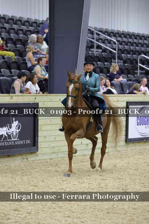 Proof 21_BUCK_01903