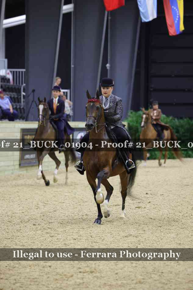 Proof 21_BUCK_01904