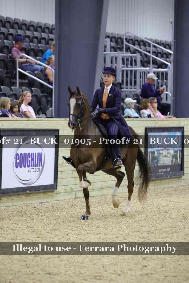 Proof 21_BUCK_01905