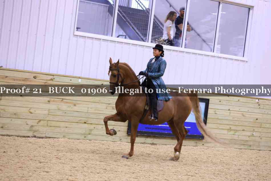 Proof 21_BUCK_01906