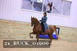 21_BUCK_01906 proof