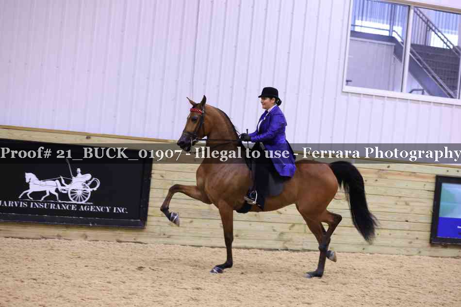 Proof 21_BUCK_01907