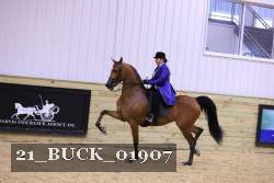 21_BUCK_01907 proof