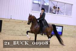 21_BUCK_01908 proof