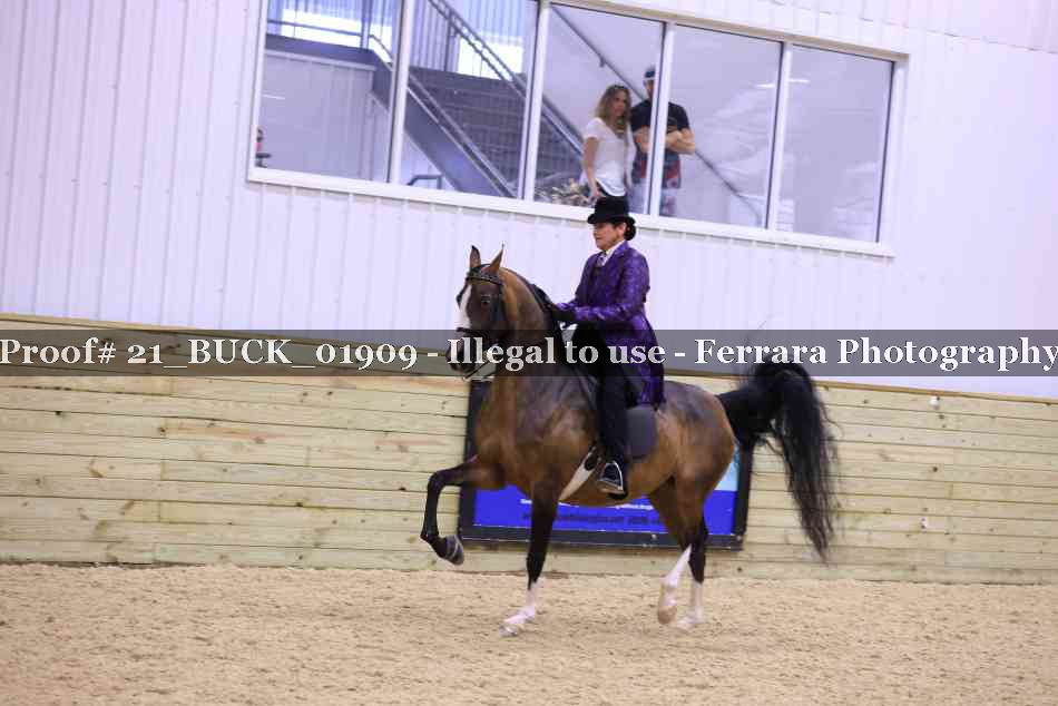 Proof 21_BUCK_01909