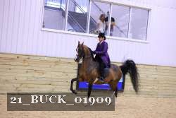 21_BUCK_01909 proof