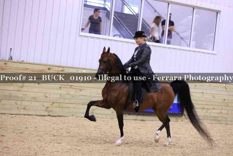 Proof 21_BUCK_01910